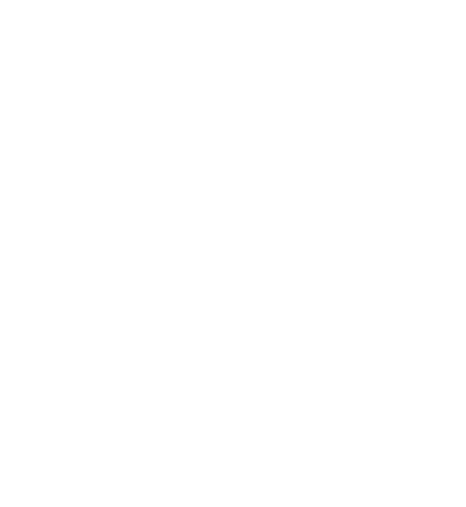 RAPTOR CAPITAL